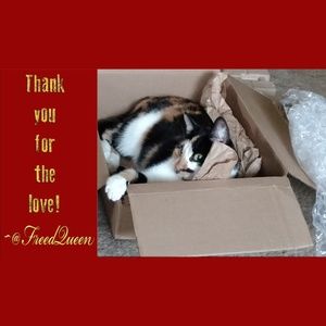 My Thanks For All the Posh Love!